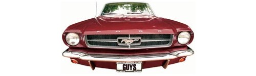 Intretinere auto exterior
